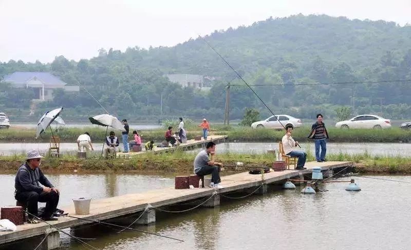 璧山水库钓鱼记，鱼趣与人情的交织时光