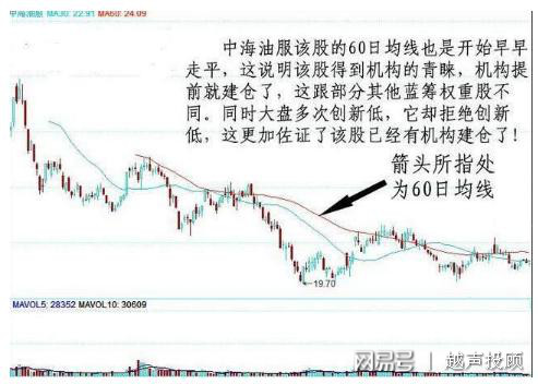 一码定乾坤，精准预测决策信息——日月神抵PAL411.11