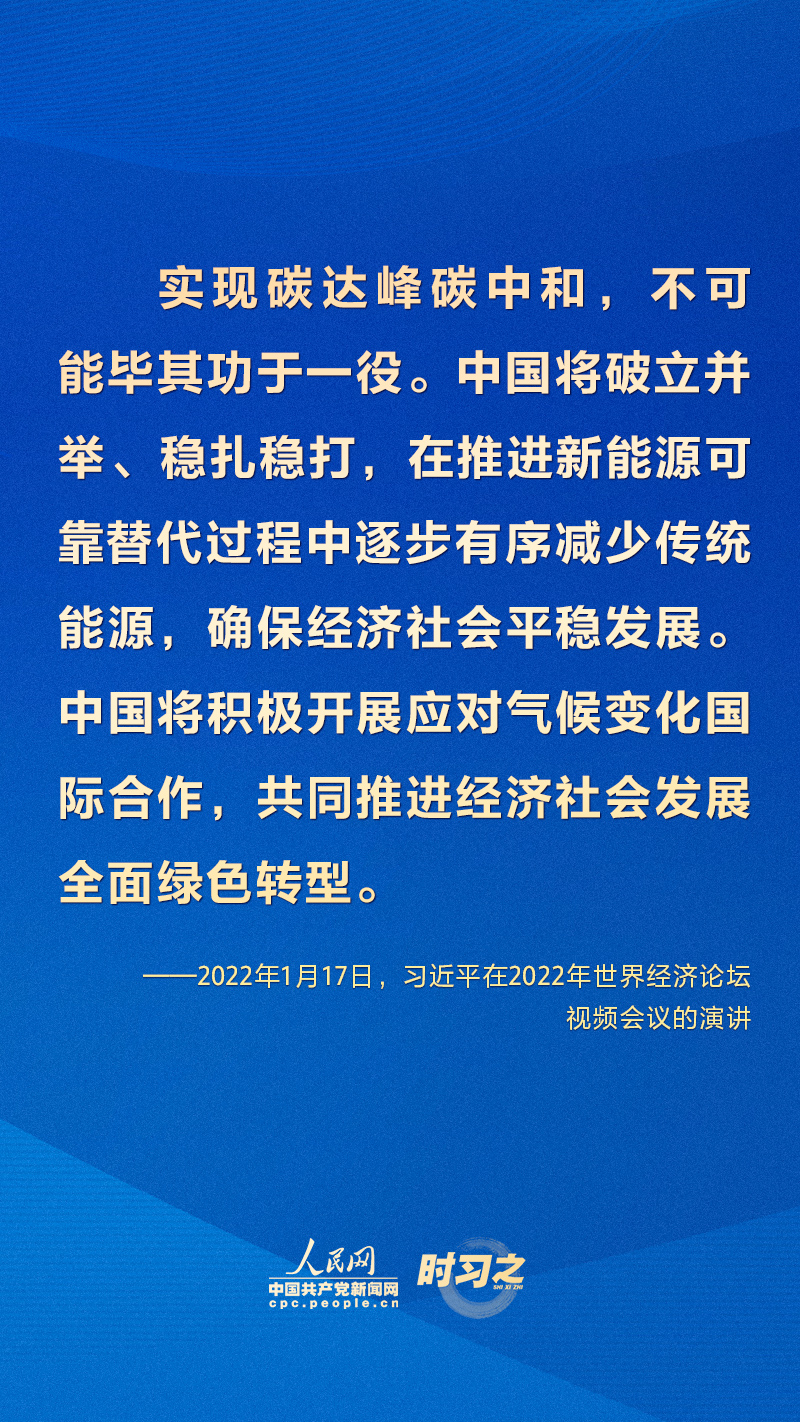 历史上的11月13日与河北石家庄疫情应对策略，疫情应对指南及最新疫情回顾