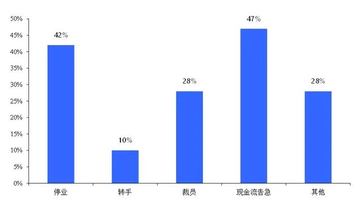 往年11月14日最新伦理片意大利专区，意大利专区，变化中的自信与成就感——一场伦理片的励志之旅