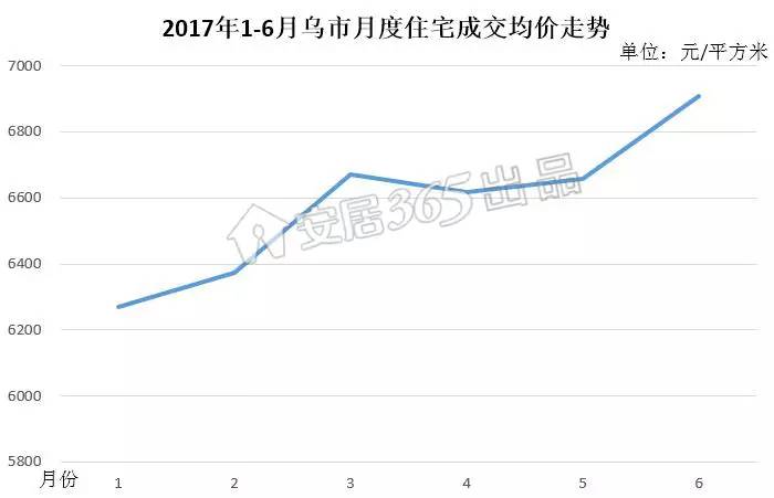 11月小麦市场深度解析，最新行情与价格走势揭秘