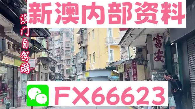 新澳精准资料免费提供最新版,专家权威解答_XYN91.940家庭版