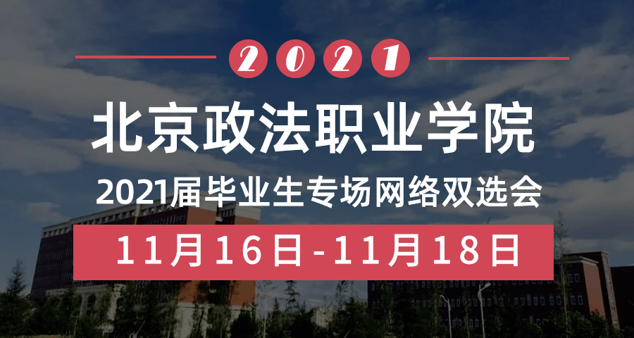 香港工作市场最新动态与趋势分析，历年11月16日深度解读