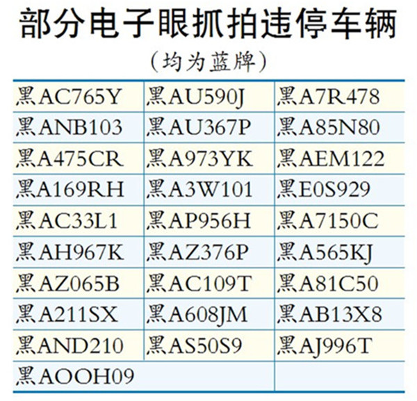 2024年正版资料免费,实时处理解答计划_CGH91.826高清晰度版