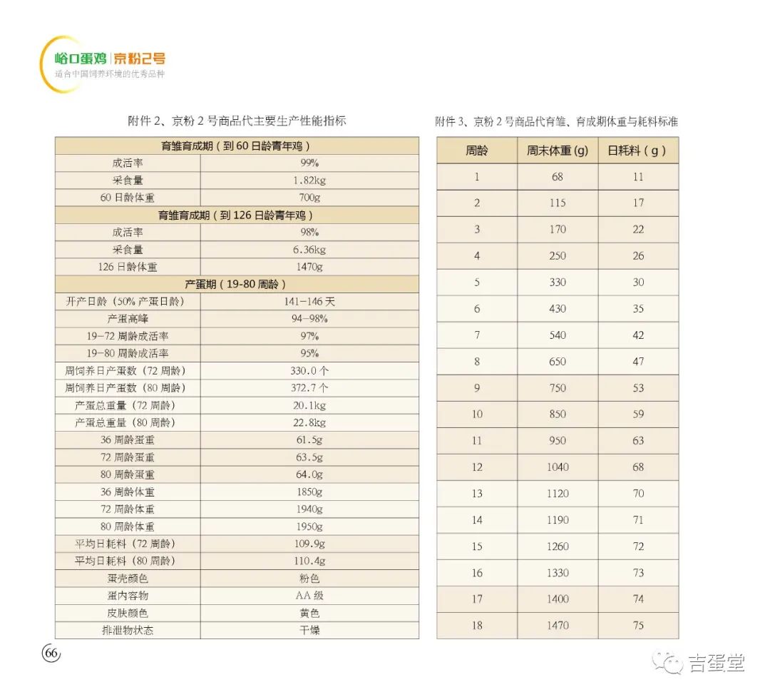 2024香港今期开奖号码,全面性解释说明_FLZ91.258装饰版