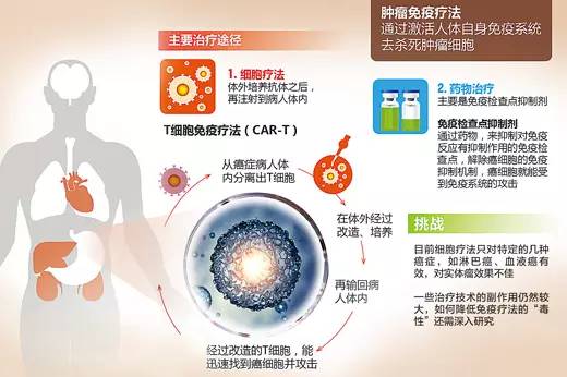 新澳全年资料免费公开,权威解析方法_QTC91.766影视版