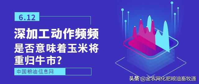 香港最快免费资料网站,实地应用实践解读_UZT91.864进口版