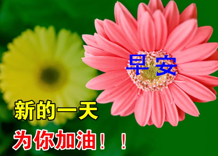 十一月晨曦中的温暖祝福，早上好问候的变迁、影响与祝福