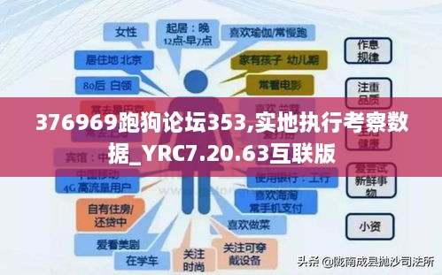 376969跑狗论坛353,实地执行考察数据_YRC7.20.63互联版