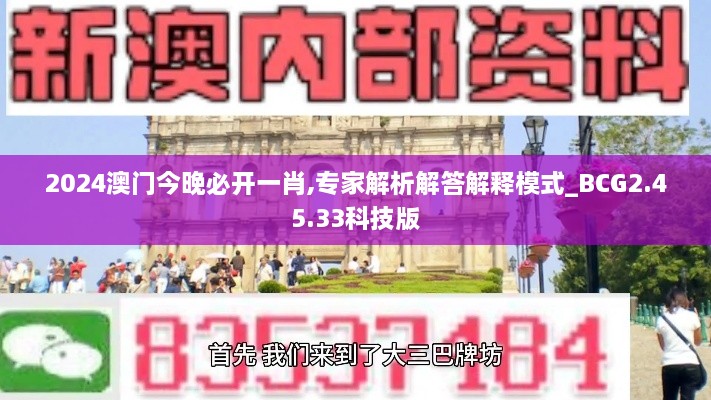 2024澳门今晚必开一肖,专家解析解答解释模式_BCG2.45.33科技版