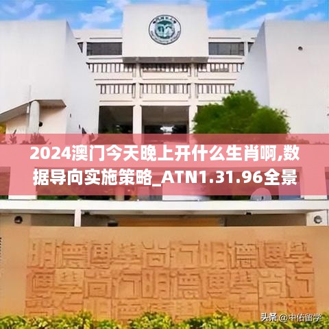 2024澳门今天晚上开什么生肖啊,数据导向实施策略_ATN1.31.96全景版