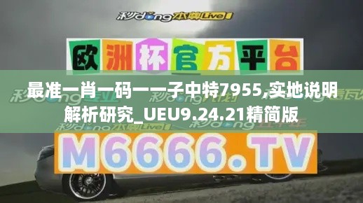 最准一肖一码一一子中特7955,实地说明解析研究_UEU9.24.21精简版