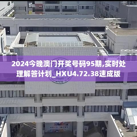 2024今晚澳门开奖号码95期,实时处理解答计划_HXU4.72.38速成版