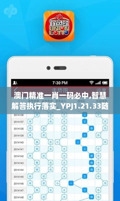 澳门精准一肖一码必中,智慧解答执行落实_YPJ1.21.33随身版