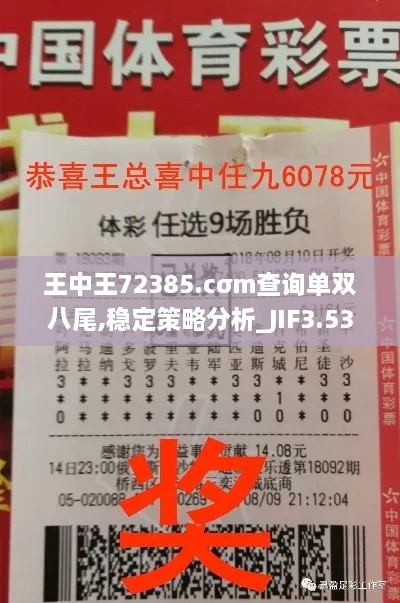 王中王72385.cσm查询单双八尾,稳定策略分析_JIF3.53.60投入版