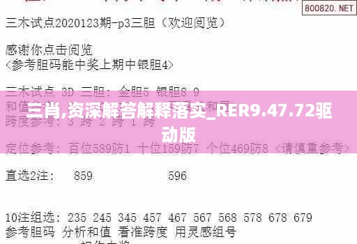 三肖,资深解答解释落实_RER9.47.72驱动版