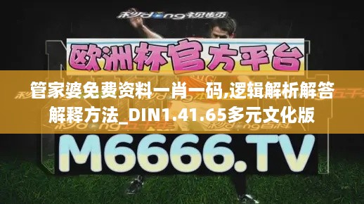 管家婆免费资料一肖一码,逻辑解析解答解释方法_DIN1.41.65多元文化版