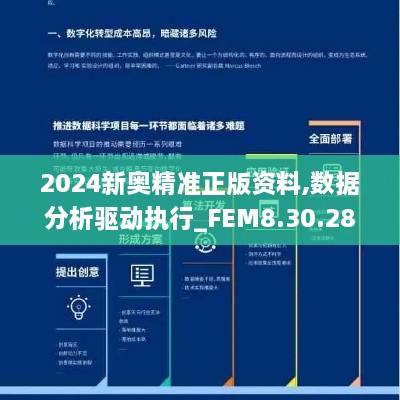 2024新奥精准正版资料,数据分析驱动执行_FEM8.30.28远光版