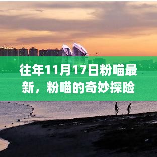 粉喵的奇妙探险，寻找内心宁静与微笑的11月17日自然美景之旅