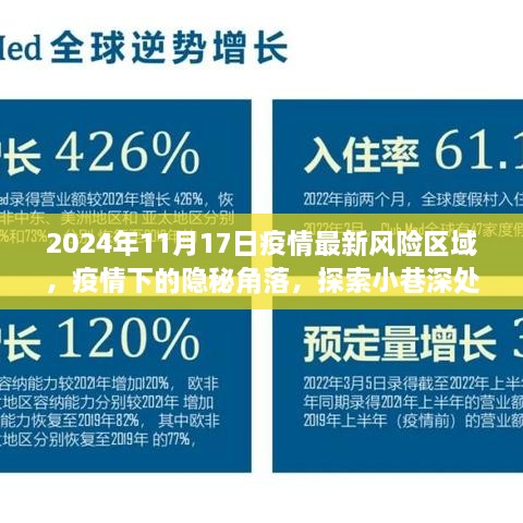 疫情下的隐秘角落，探索特色小店与最新风险区域——2024年11月17日