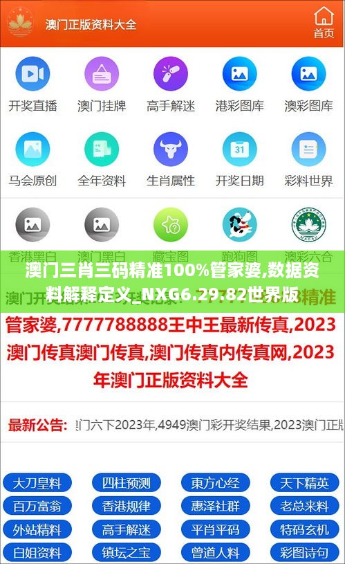 澳门三肖三码精准100%管家婆,数据资料解释定义_NXG6.29.82世界版