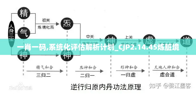 一肖一码,系统化评估解析计划_CJP2.14.45炼脏境