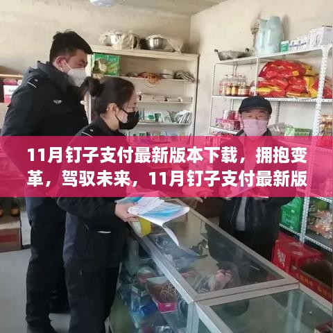 11月钉子支付最新版本下载，拥抱变革，驾驭未来之旅