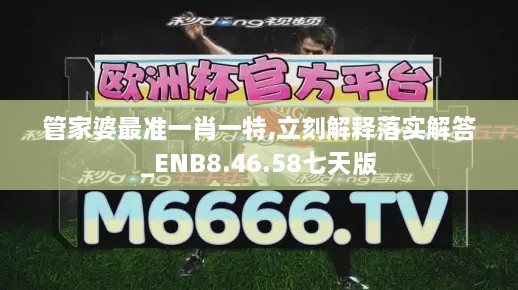 管家婆最准一肖一特,立刻解释落实解答_ENB8.46.58七天版