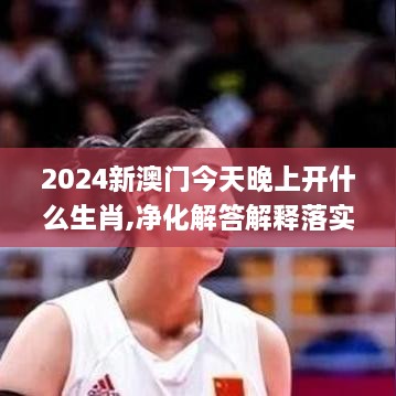 2024新澳门今天晚上开什么生肖,净化解答解释落实_QUM3.56.29敏捷版