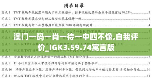 澳门一码一肖一待一中四不像,自我评价_IGK3.59.74寓言版