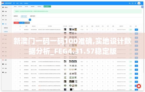新澳门一码一码100准确,实地设计数据分析_FEG4.31.57稳定版