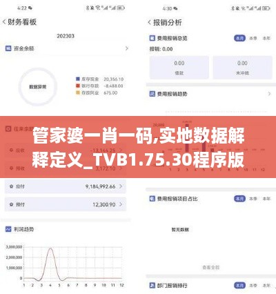 管家婆一肖一码,实地数据解释定义_TVB1.75.30程序版