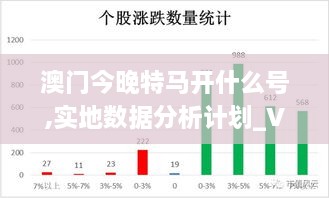 澳门今晚特马开什么号,实地数据分析计划_VTB8.17.95备用版