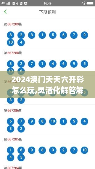 2024澳门天天六开彩怎么玩,灵活化解答解释现象_NMG4.50.71网红版