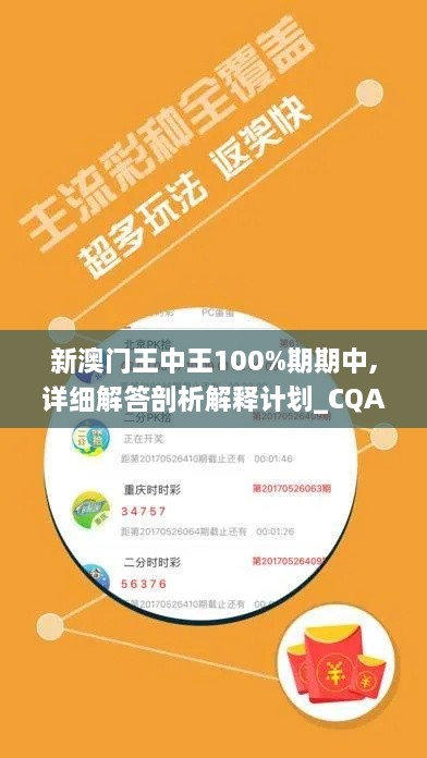 新澳门王中王100%期期中,详细解答剖析解释计划_CQA5.51.64复古版