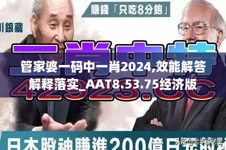 管家婆一码中一肖2024,效能解答解释落实_AAT8.53.75经济版