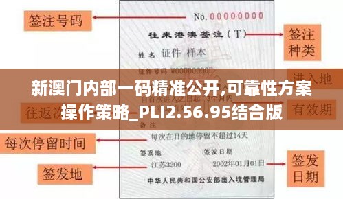 新澳门内部一码精准公开,可靠性方案操作策略_PLI2.56.95结合版