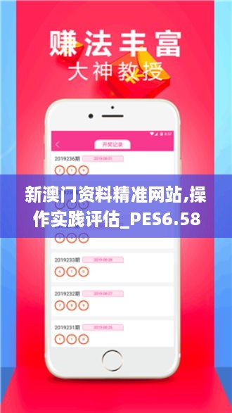 新澳门资料精准网站,操作实践评估_PES6.58.62动漫版