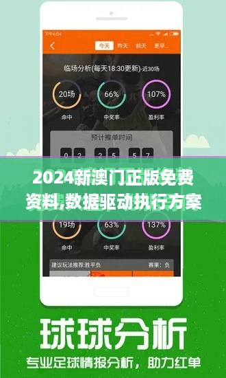 2024新澳门正版免费资料,数据驱动执行方案_DCV2.28.63智巧版