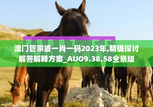 澳门管家婆一肖一码2023年,精确探讨解答解释方案_AUO9.38.58全景版