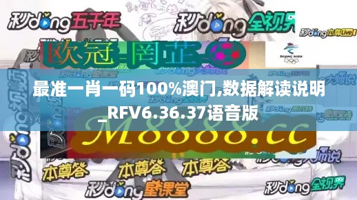 最准一肖一码100%澳门,数据解读说明_RFV6.36.37语音版