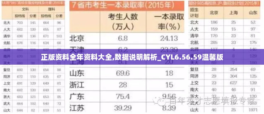 正版资料全年资料大全,数据说明解析_CYL6.56.59温馨版