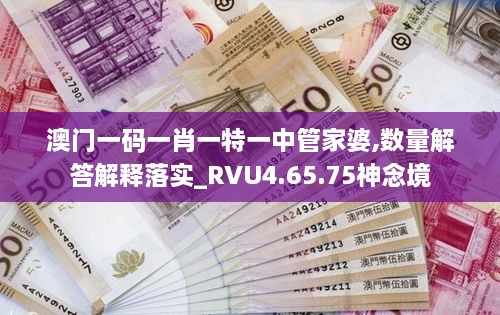 澳门一码一肖一特一中管家婆,数量解答解释落实_RVU4.65.75神念境