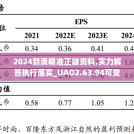 2024新澳精准正版资料,实力解答执行落实_UAO2.63.94可变版