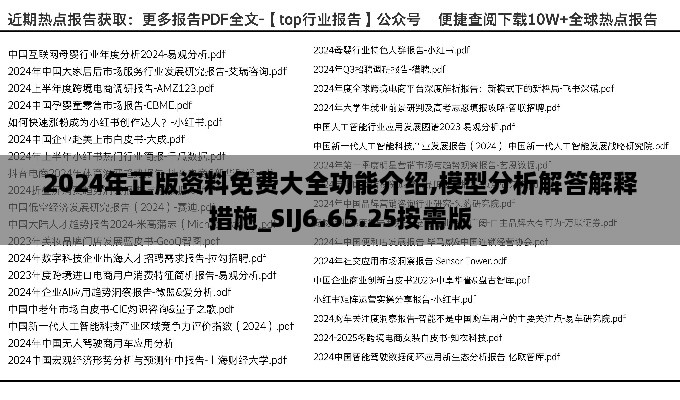 2024年正版资料免费大全功能介绍,模型分析解答解释措施_SIJ6.65.25按需版