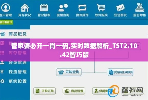 管家婆必开一肖一码,实时数据解析_TST2.10.42智巧版