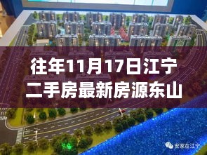 历年11月17日江宁东山镇周边二手房市场观察，最新房源探析与深度思考