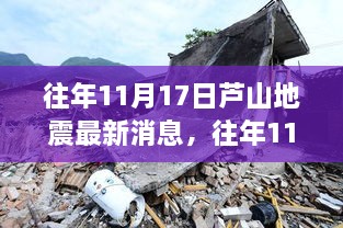 往年11月17日芦山地震最新消息，深度解析与最新进展概述