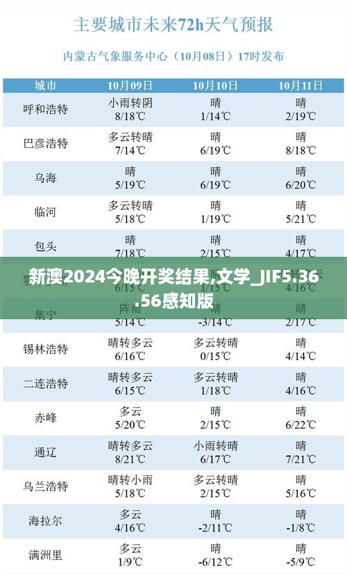 2024年11月18日 第31页