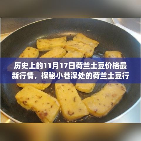 荷兰土豆价格历史与最新行情探秘，历史与新鲜价格的交融之旅（11月17日特辑）